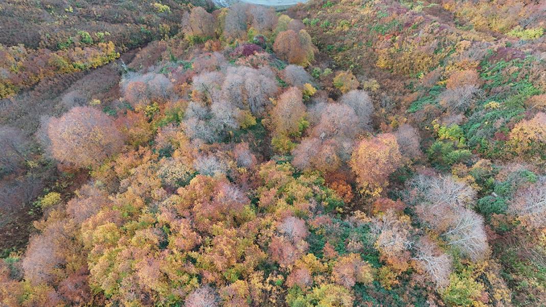 Artvin’in saklı cenneti Borçka Karagöl Tabiat Parkı'na yoğun ilgi 7